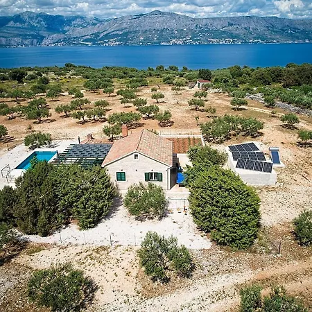 House Bracuta Pucisca