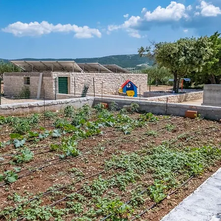 בית נופש House Bracuta פוצ'ישצ'ה