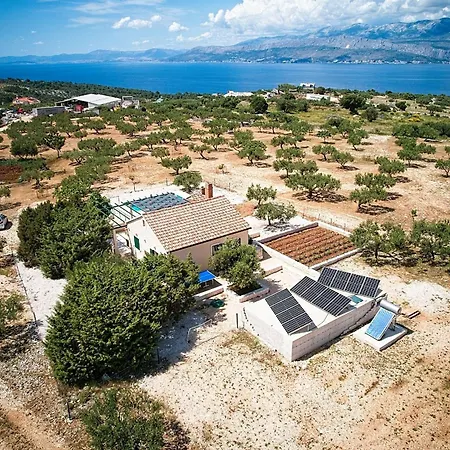 House Bracuta *