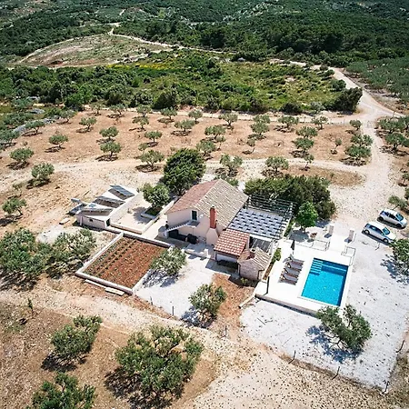 House Bracuta בית נופש *